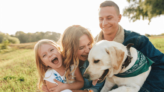 Why Pets are the Best: Top 5 Reasons They Complete Your Family