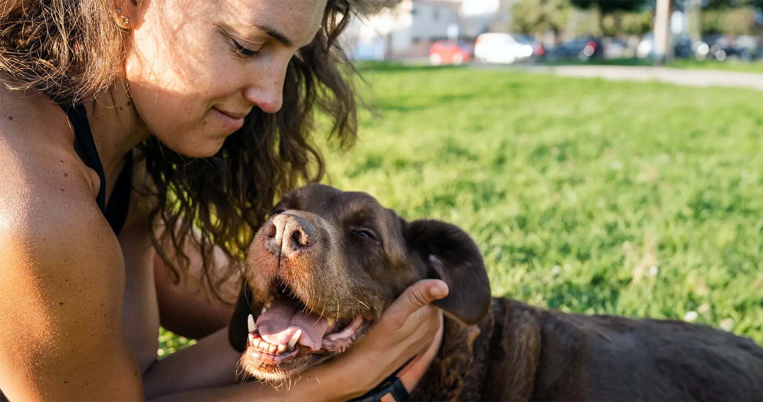 6 Science-Backed Reasons Dogs Make the Best Pets - Part 1