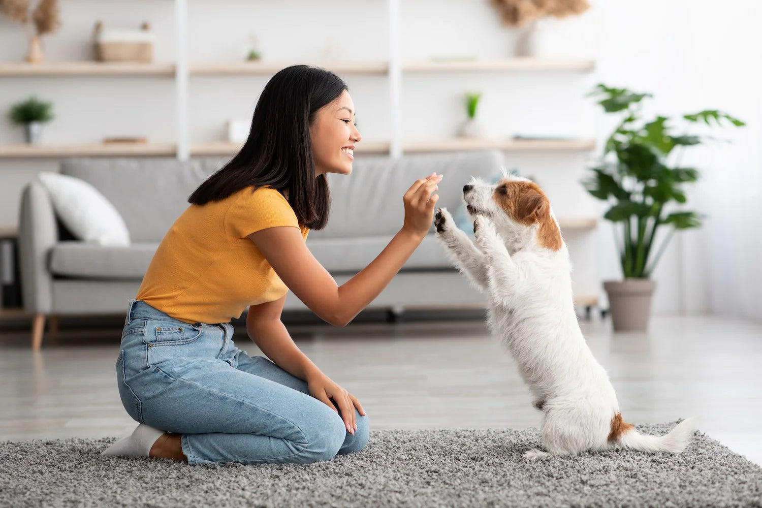 Transform Your Dog's Behavior in 10 Simple Steps!