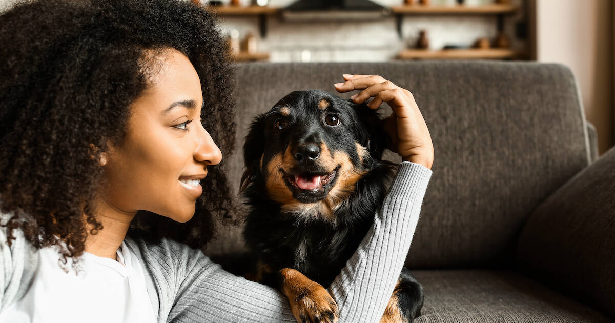 6 Science-Backed Reasons Dogs Make the Best Pets - Part 2