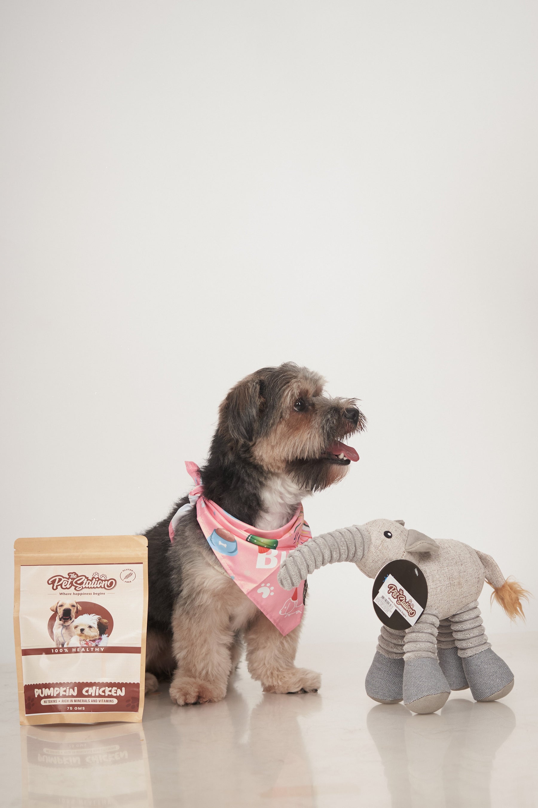 The Docile Elephant Dog Toy - Premium Toy from The Pet Station 