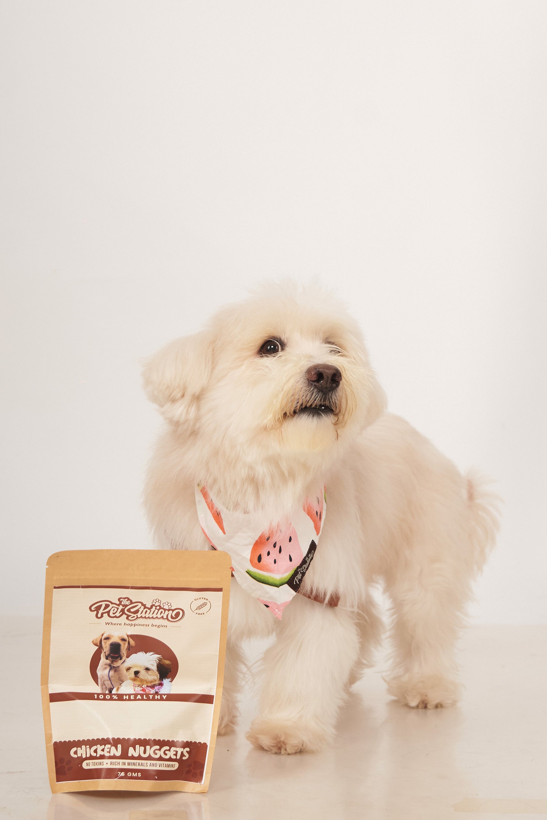 WATERMELON PRINTED BANDANA - Premium Accessories from The Pet Station 