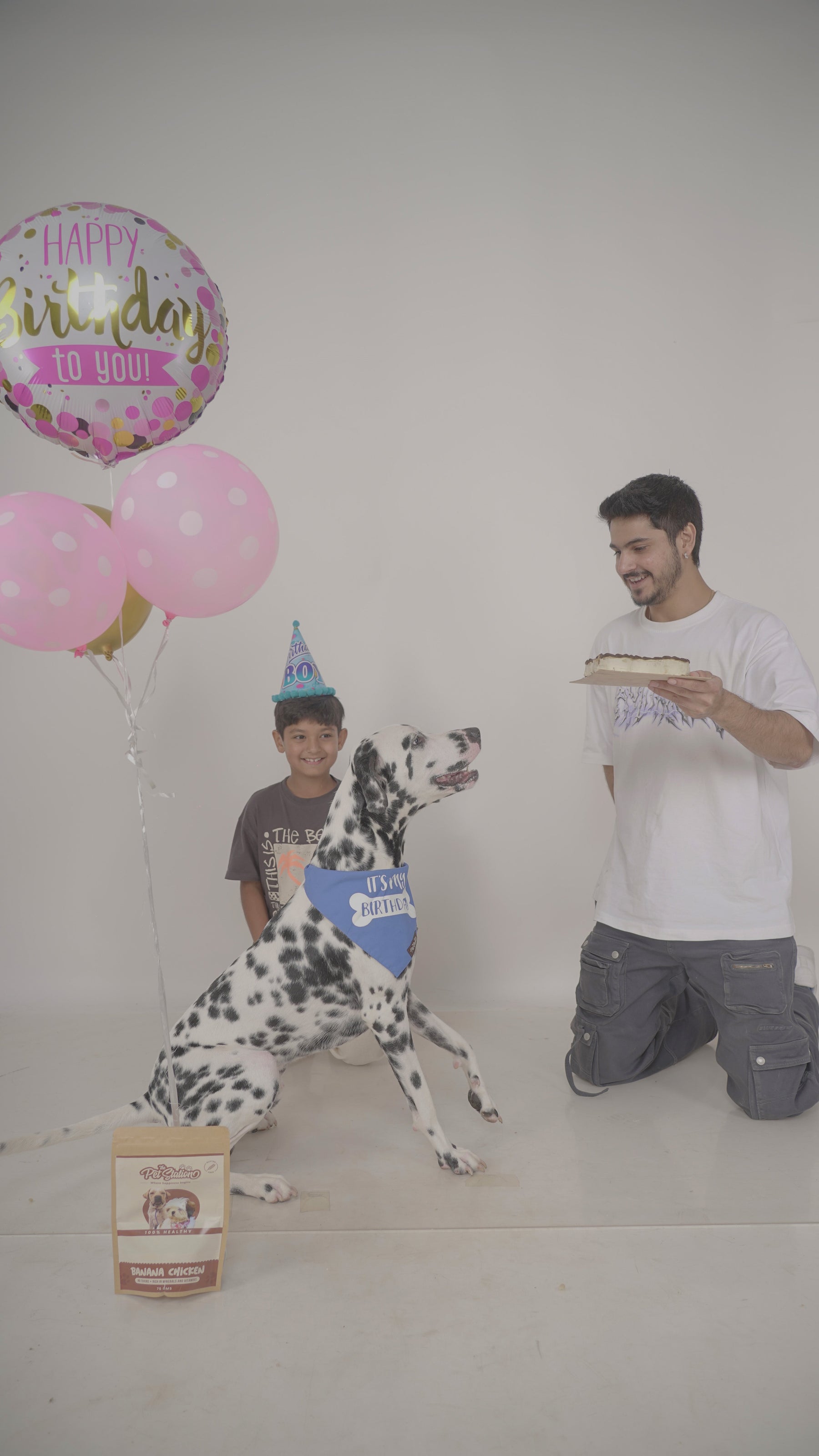 Plain with Happy Birthday Bandana - Premium Accessories from The Pet Station 