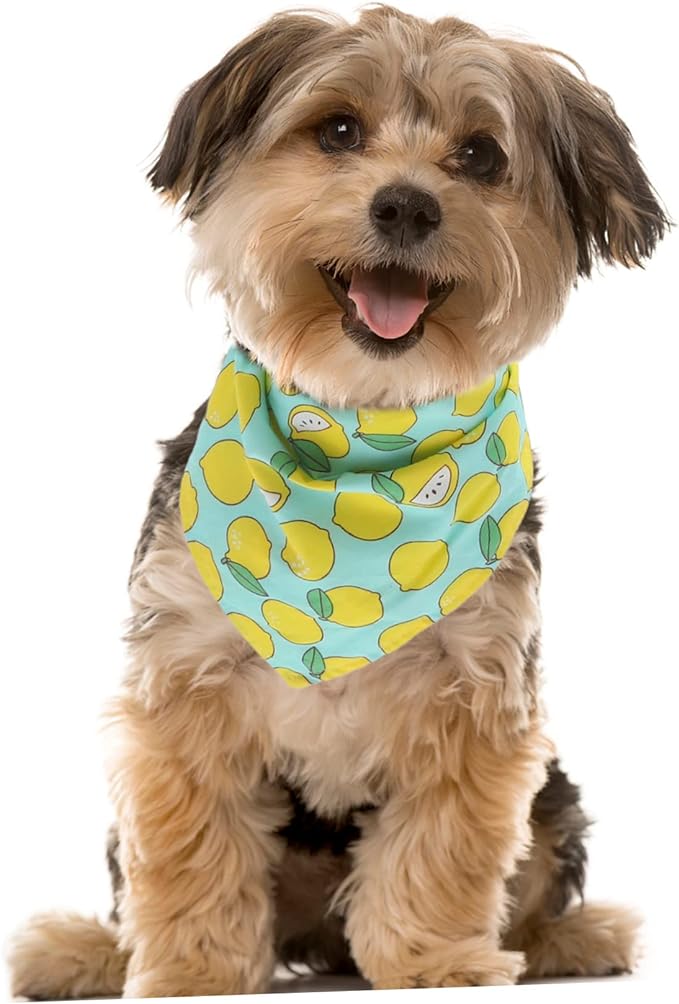 Fresh Lemonade Bandana - Premium  from The Pet Station 