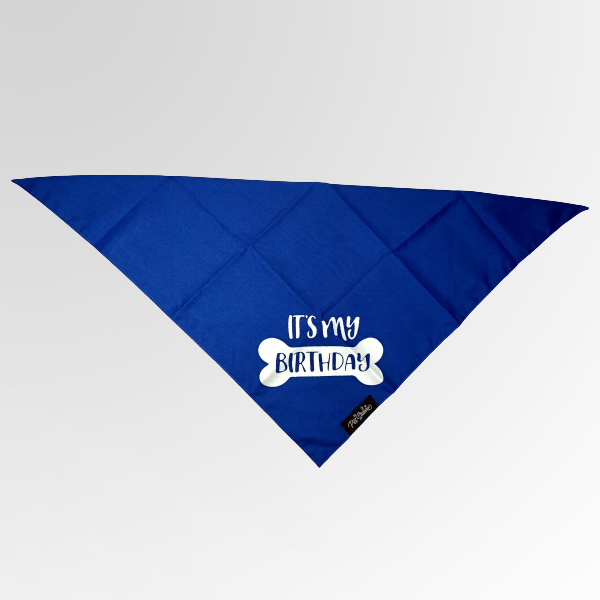 Plain with Happy Birthday Bandana - Premium Accessories from The Pet Station 