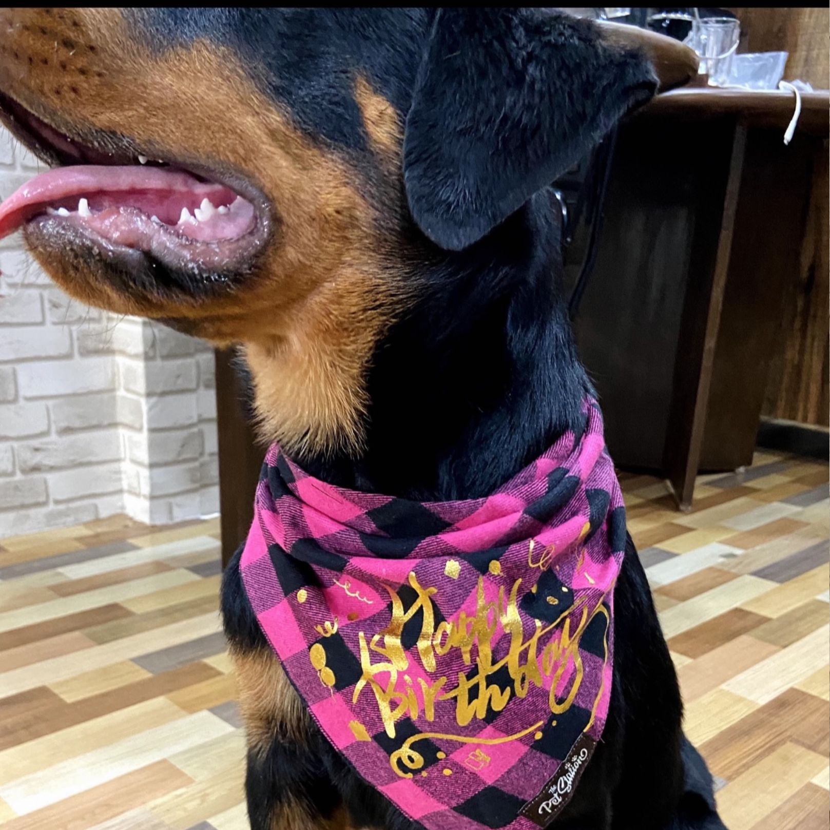 Chex with Happy Birthday Bandana - Premium Accessories from The Pet Station 