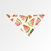 WATERMELON PRINTED BANDANA - Premium Accessories from The Pet Station 