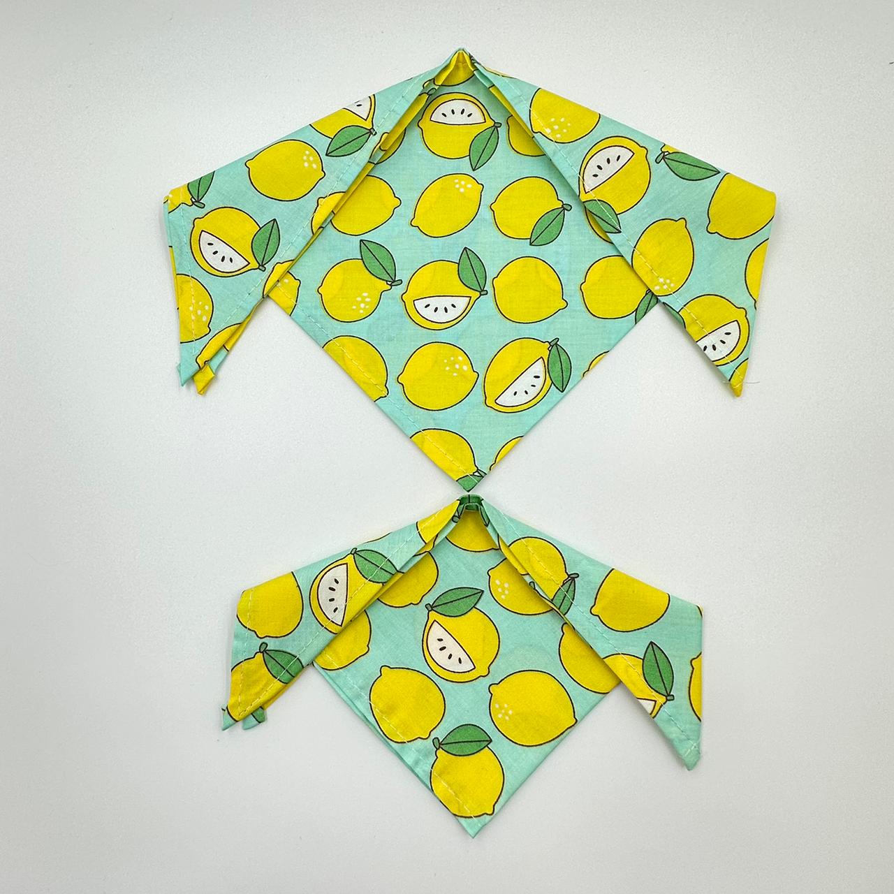 Fresh Lemonade Bandana - Premium  from The Pet Station 