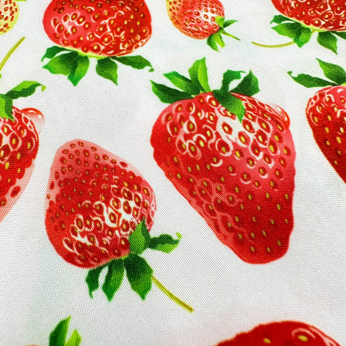 Fresh Strawberry Bandana - Premium  from The Pet Station 