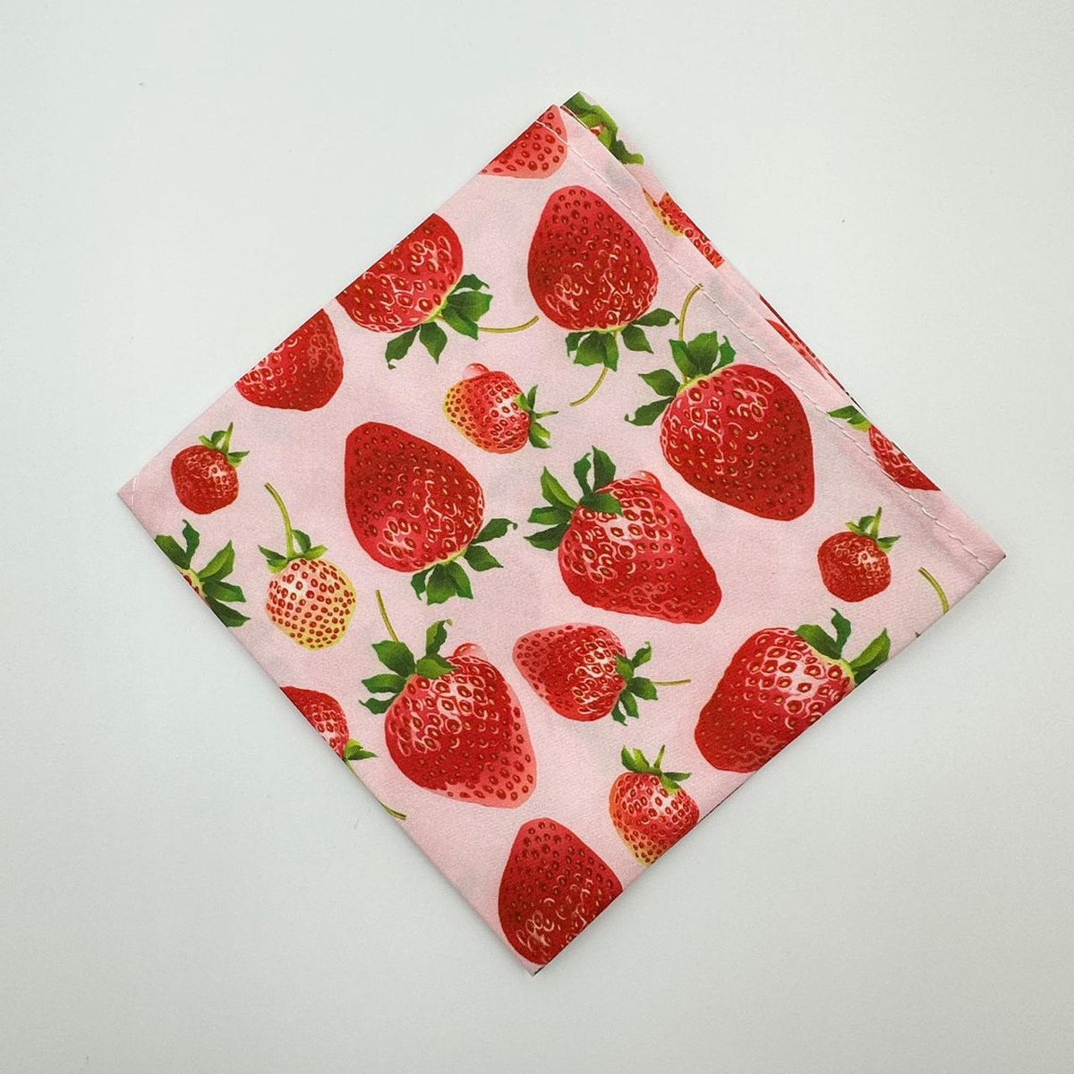 Fresh Strawberry Bandana - Premium  from The Pet Station 