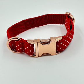 Polka Bot Dog Collar & Leash - Premium  from The Pet Station 