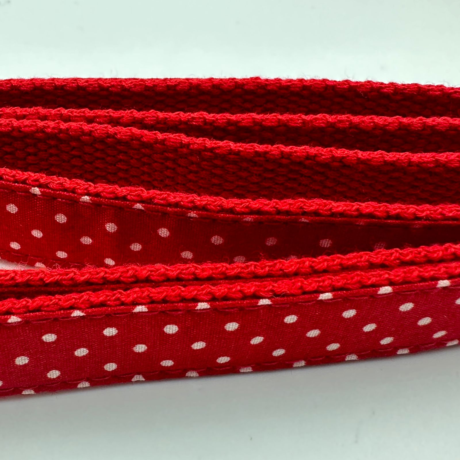 Polka Bot Dog Collar & Leash - Premium  from The Pet Station 