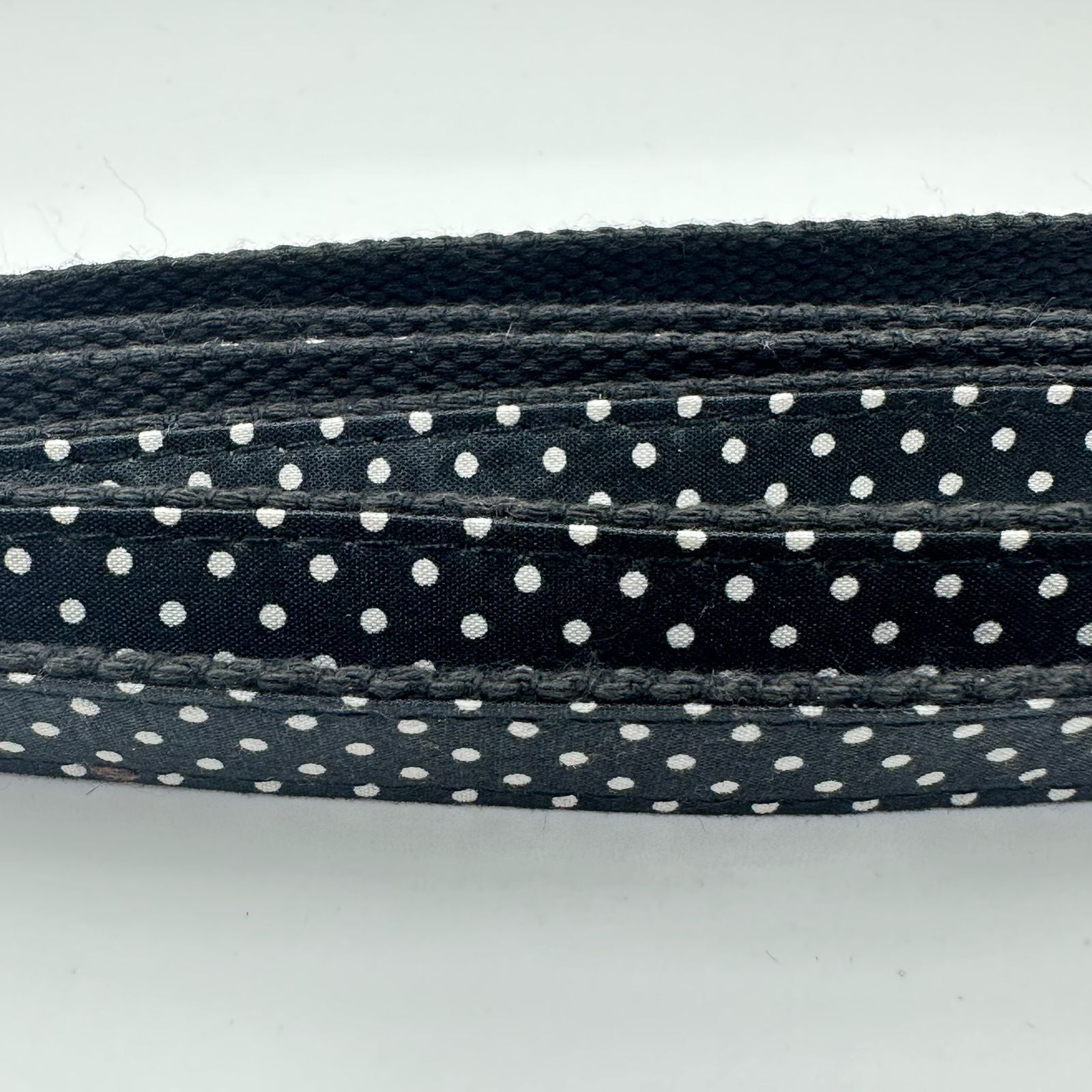 Polka Bot Dog Collar & Leash - Premium  from The Pet Station 