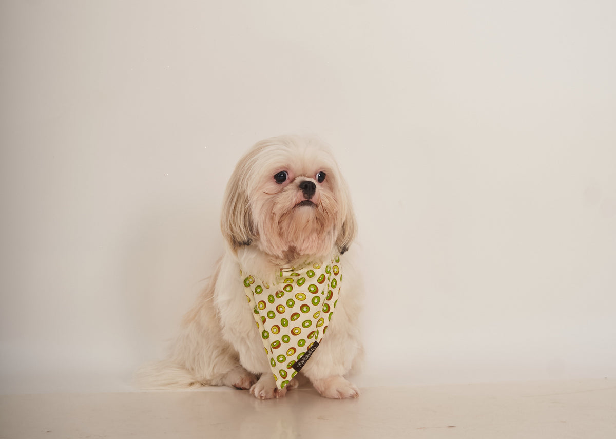 Kiwi Printed Bandana - Premium Accessories from The Pet Station 